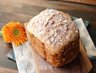 Breadmaker Version of Cuckoo Hof Bread recipe