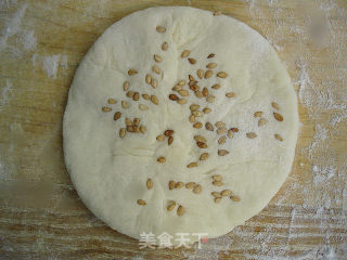 My Favorite--northeast Sugar Pie recipe