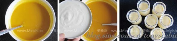 Mango Yogurt recipe