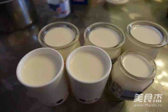 Homemade Beneficial Yogurt recipe