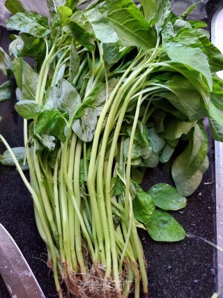 Stir-fried Green Amaranth recipe