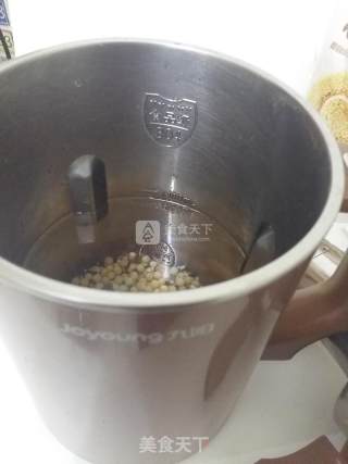 Wheat Germ Rice Soy Milk recipe
