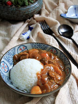 A Rich Curry Beef Rice