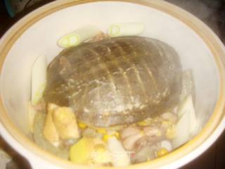 Stewed Turtle recipe