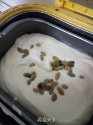 Breadmaker Version Raisin Chiffon Cake recipe