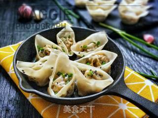 Pan-fried Sophoria Beef Wonton recipe