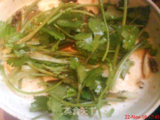 Grilled Octopus recipe