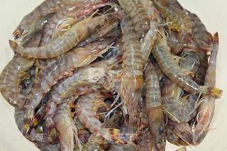 Boiled Shrimp recipe