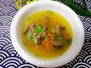 Wild Pigeon Stewed Cordyceps Flower recipe