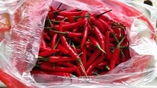 Homemade Chili Sauce recipe