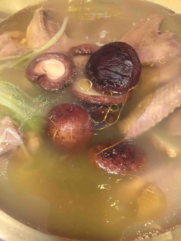 Pigeon Soup recipe