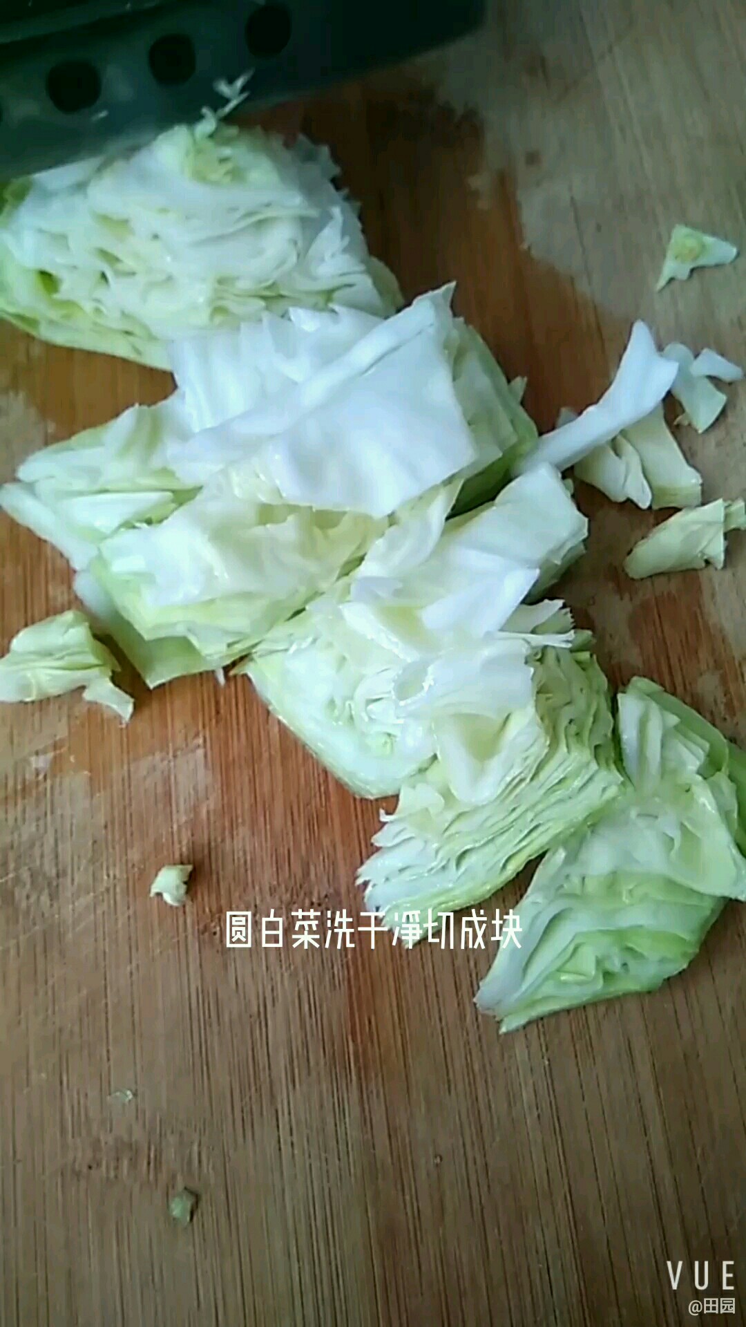 Shrimp Paste with Cabbage recipe