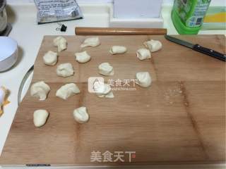 Onion Meat Pot Stickers recipe