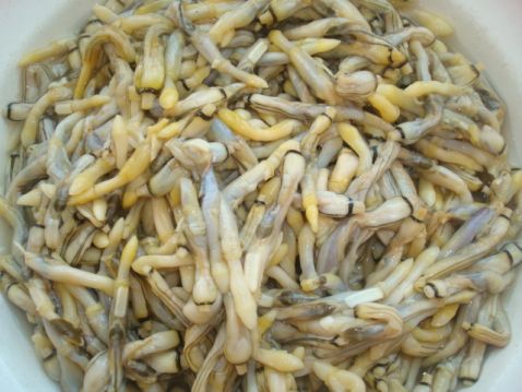 Razor Clams Mixed with Cucumber recipe