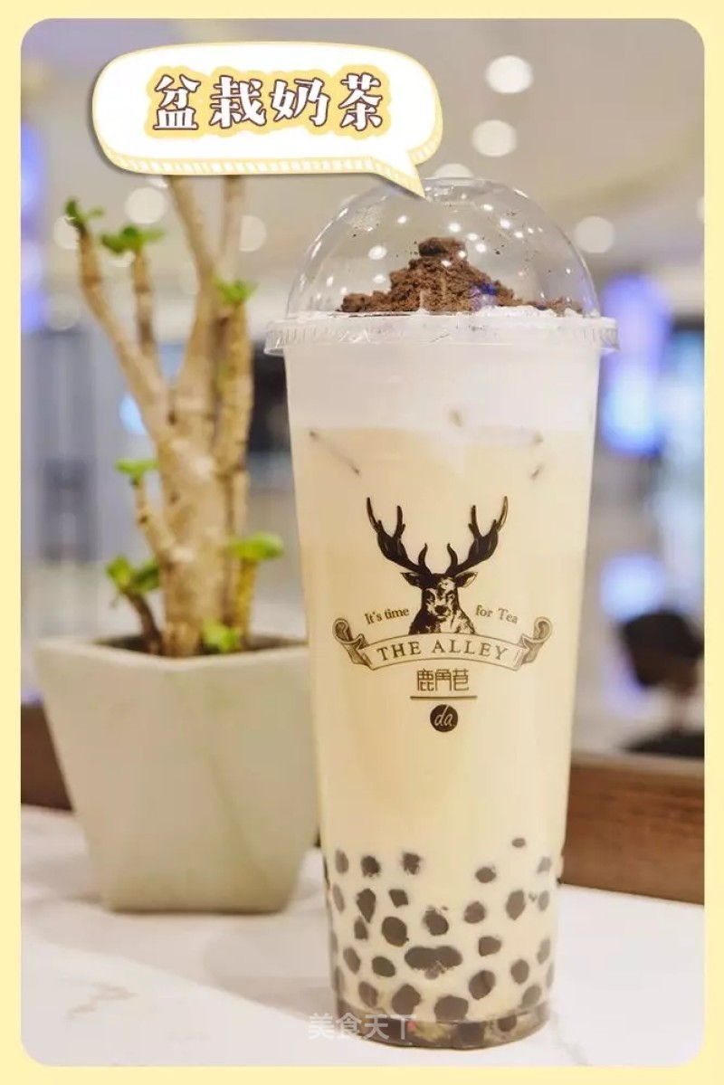 Potted Milk Tea recipe