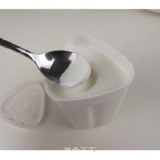 Probiotics Plus Home-made Probiotics Old Yogurt recipe