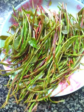 Fleece-flower Root in Cold Dressing recipe