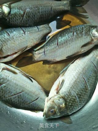 Cold Crucian Carp recipe