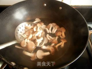 Stewed Sea Catfish with Xiuzhen Mushroom recipe