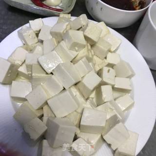 All Tofu recipe