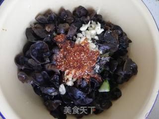 Cold Cucumber Fungus recipe