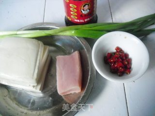 Tofu with Minced Pork in Soy Sauce recipe