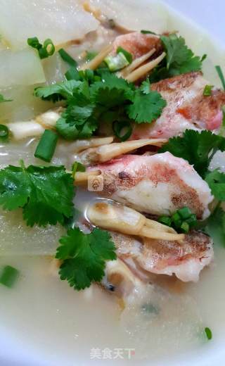 Soup with Razor Clams and Winter Melon recipe