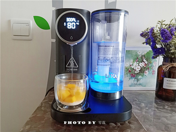 Fermented Mango Juice recipe