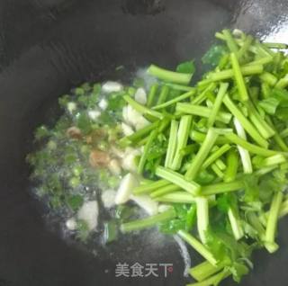 Celery Powder recipe