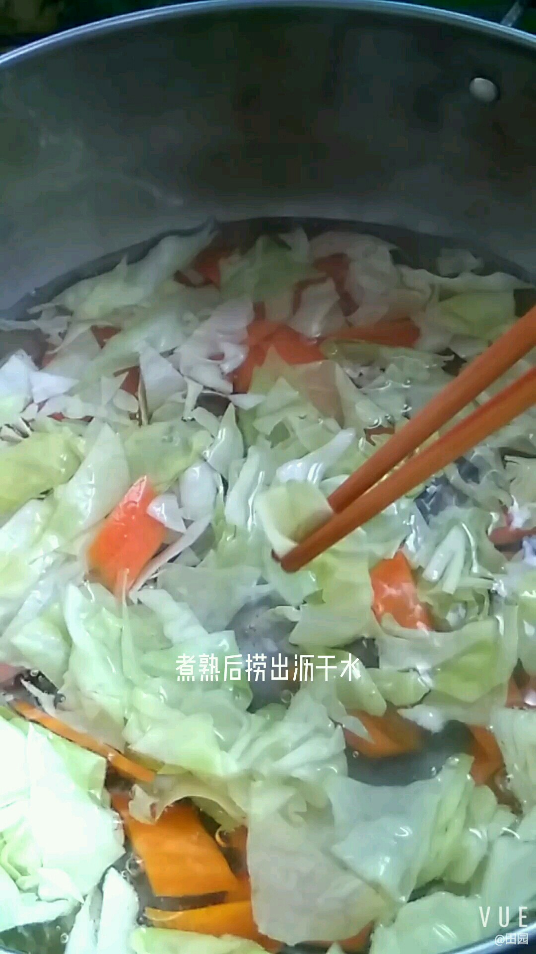 Shrimp Paste with Cabbage recipe