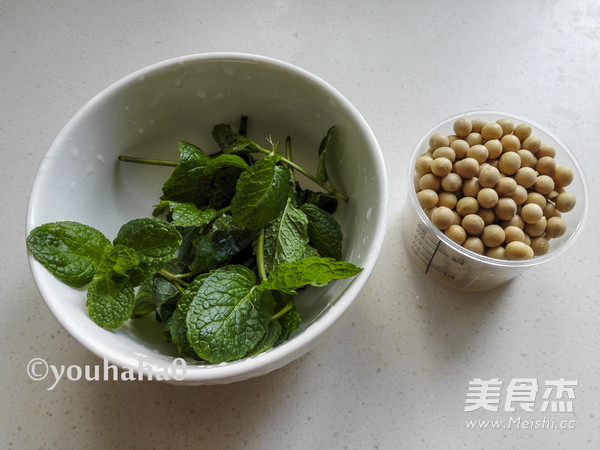 Mint Soy Milk recipe