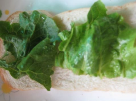Homemade Burger recipe