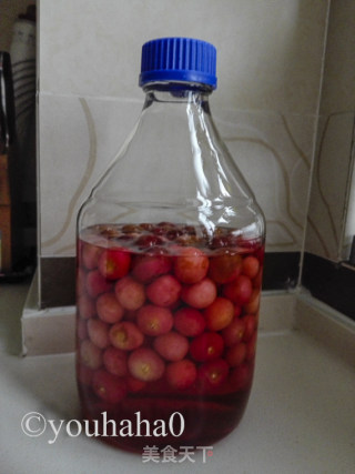 Homemade Cherry Cider recipe