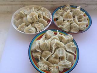 Handmade Dumplings recipe