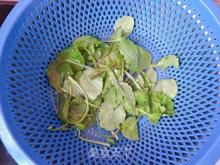 Refreshing Simmered Radish Vegetables recipe