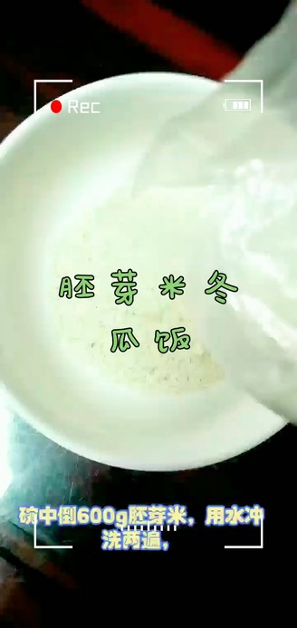"germ Rice and Winter Melon Rice"
