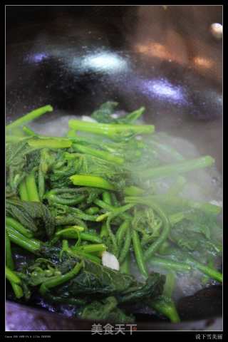 Stir-fried Pumpkin Seedlings with Garlic recipe