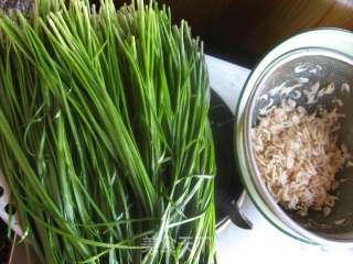 Leek Zygote recipe