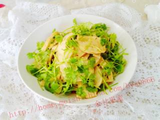 Home-cooked Cold Dish-vegetable Chicken with Coriander recipe