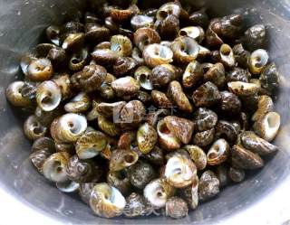 Autumn Wave to Send Snails recipe