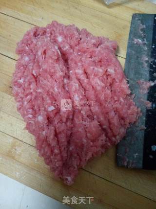 Pork Scallion Wonton recipe