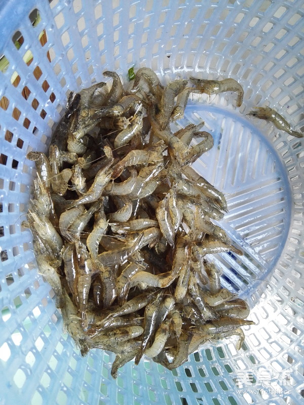 Stir-fried River Prawns with Garlic Leaves recipe