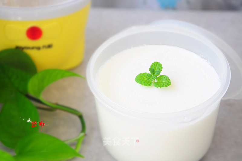 Homemade Yogurt recipe