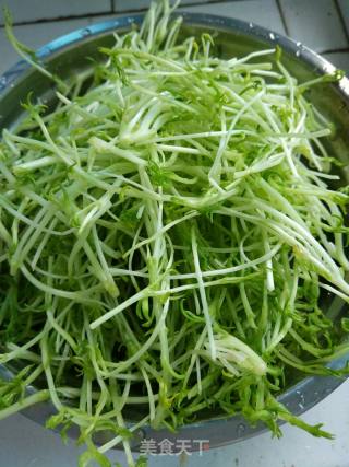 Garlic Pine Willow Buds recipe