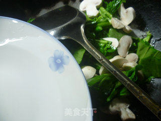 Mushroom Stir-fried Rape recipe