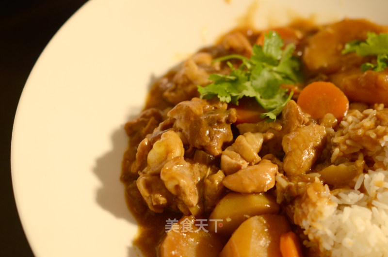 Rice Cooker Cuisine｜curry Chicken recipe