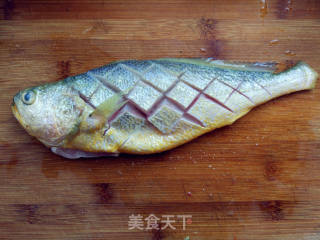 【northeast】assorted Fish with Sauce recipe