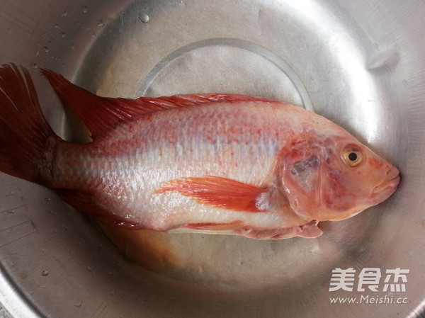 Steamed Red Snapper Fresh Trial in June recipe