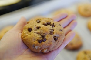 Super Simple Chocolate Soft Cookies (reduced Sugar Version) Chocolate Chip Cookies recipe