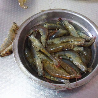 Cooked Live Shrimp in Oil recipe